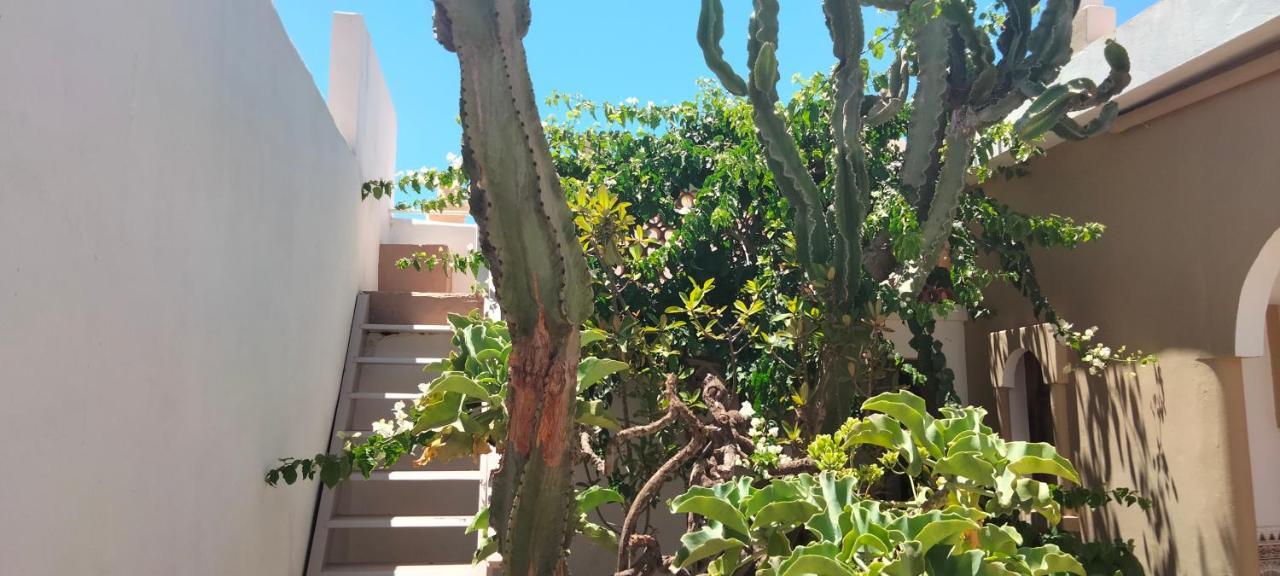 Les Etoiles Du Ksar Hotel Mirleft Exterior foto
